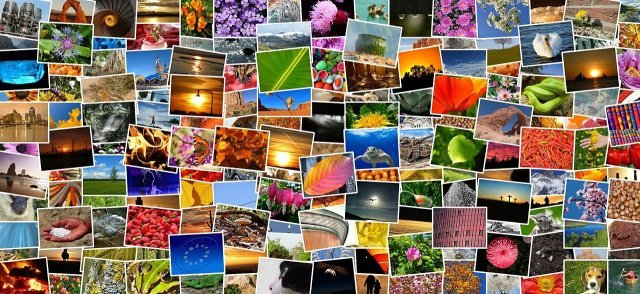 meglio qualità o quantità per avere un risultato finale migliore